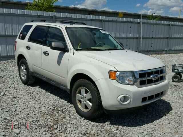 Фотография 1FMCU0DG6BKB64414 - FORD ESCAPE 2011