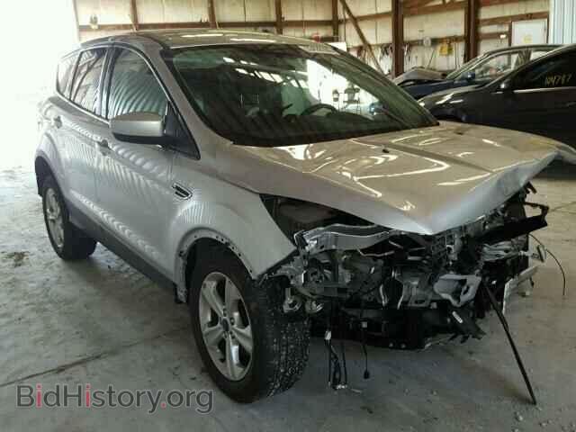 Фотография 1FMCU0GX8EUC02388 - FORD ESCAPE 2014