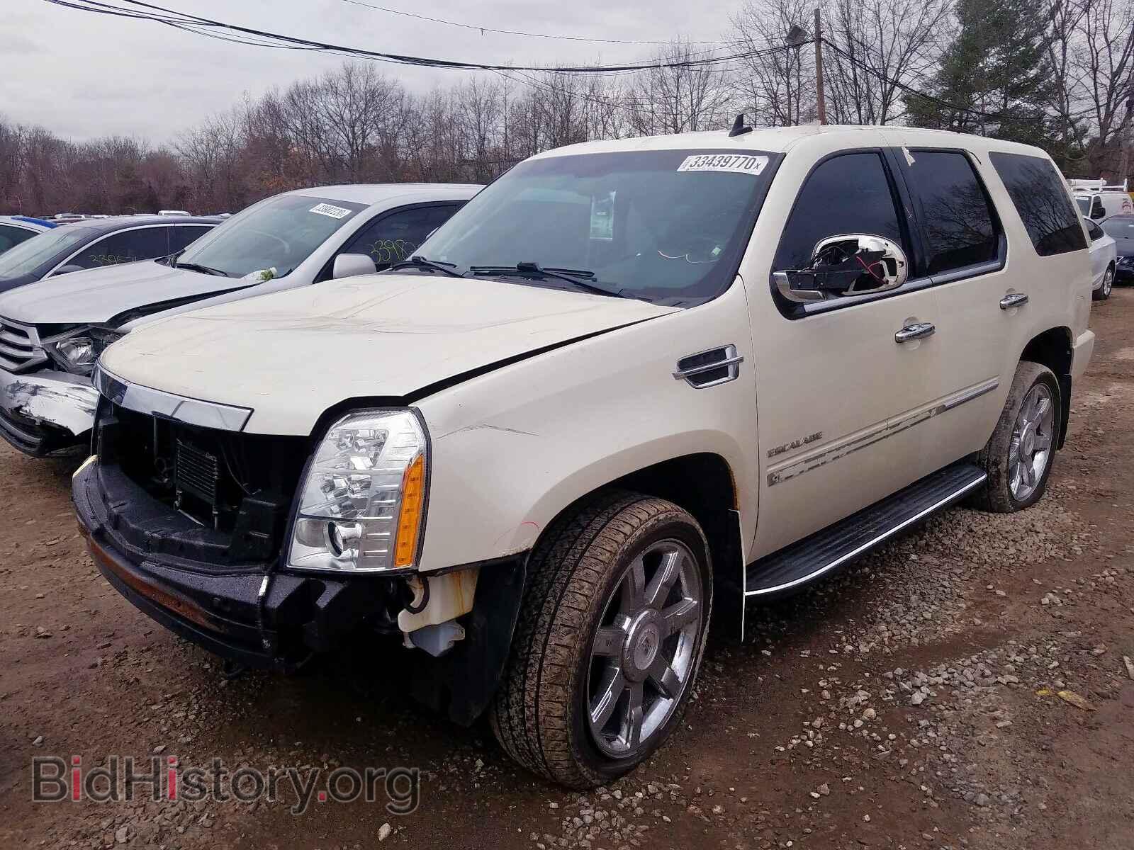 2010 CADILLAC ESCALADE - VIN: 1GYUKBEF4AR280307 - Фото 2