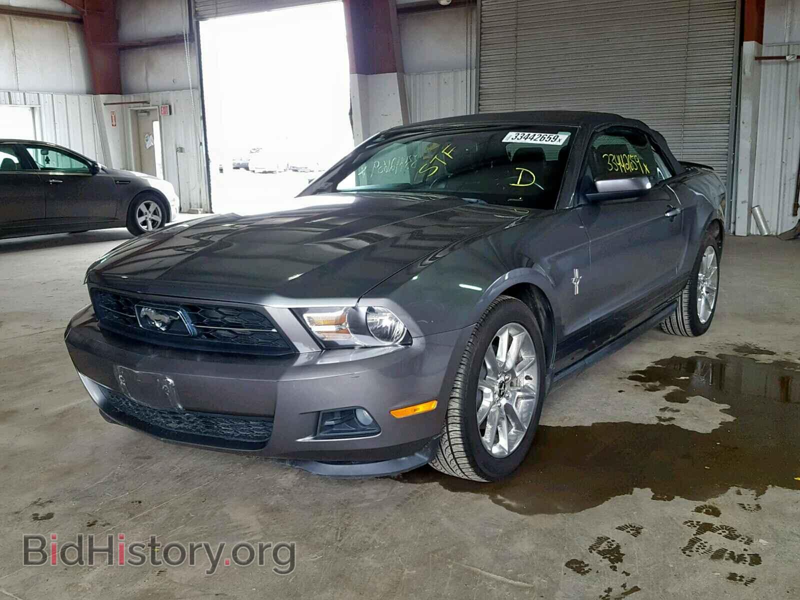 2011 FORD MUSTANG - VIN: 1ZVBP8EM3B5139914 - Фото 2