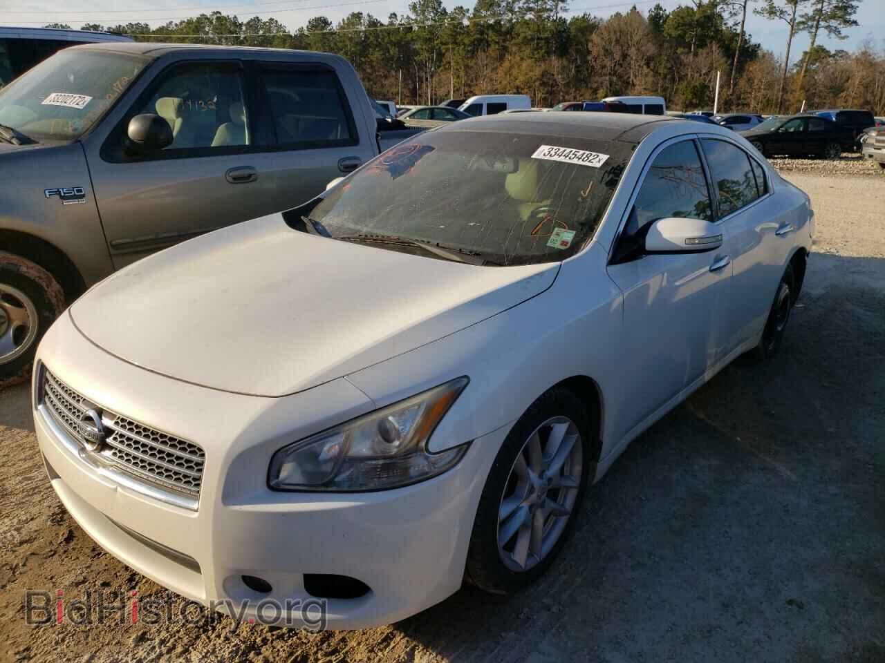 2009 NISSAN MAXIMA - VIN: 1N4AA51E29C844860 - Фото 2