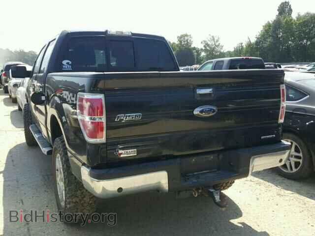 2013 FORD F150 - VIN: 1FTFW1EF5DFB52032 - Фото 3