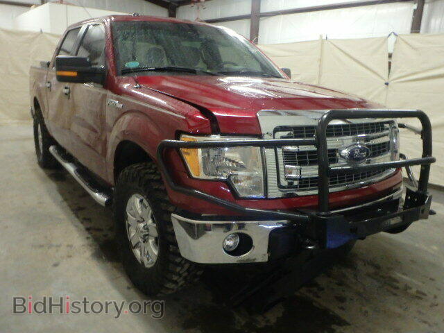 Фотография 1FTFW1EF3DFC76896 - FORD F150 2013