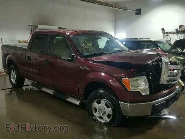 Фотография 1FTFW1EV7AFA28265 - FORD F150 2010