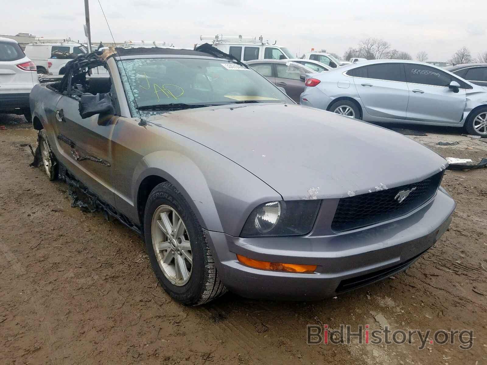 Photo 1ZVFT84N065235304 - FORD MUSTANG 2006