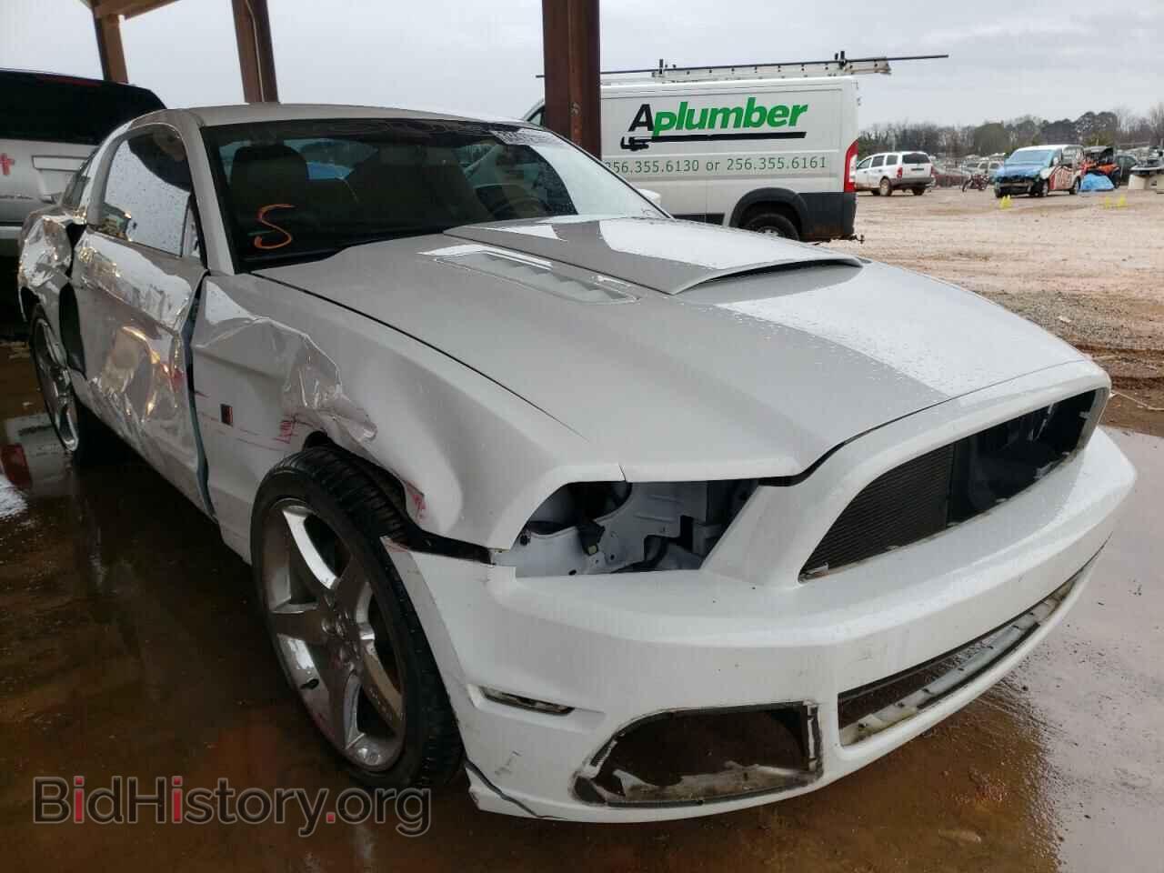 Фотография 1ZVBP8CF8E5245834 - FORD MUSTANG 2014
