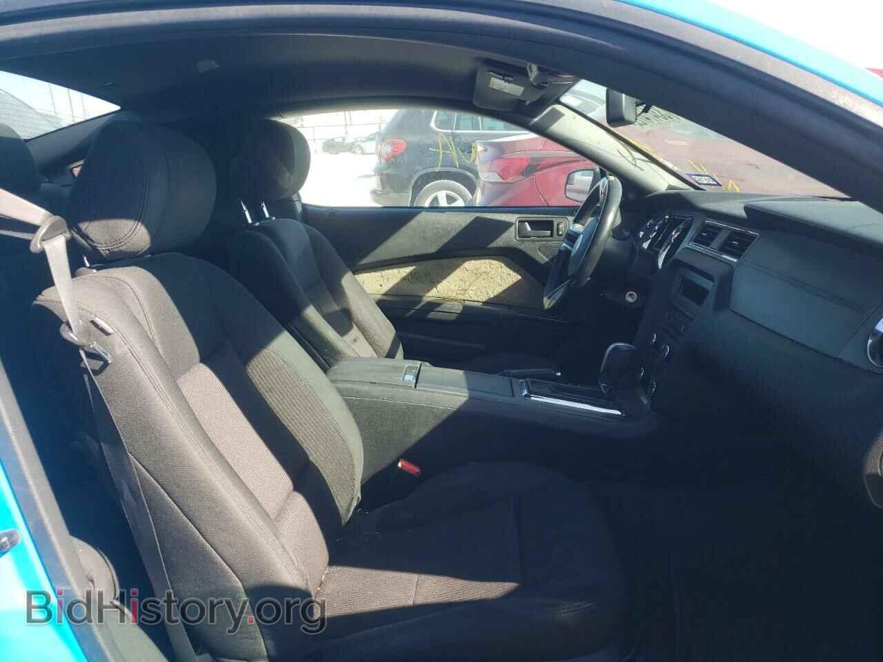 2013 FORD MUSTANG - VIN: 1ZVBP8CF8D5269050 - Фото 5