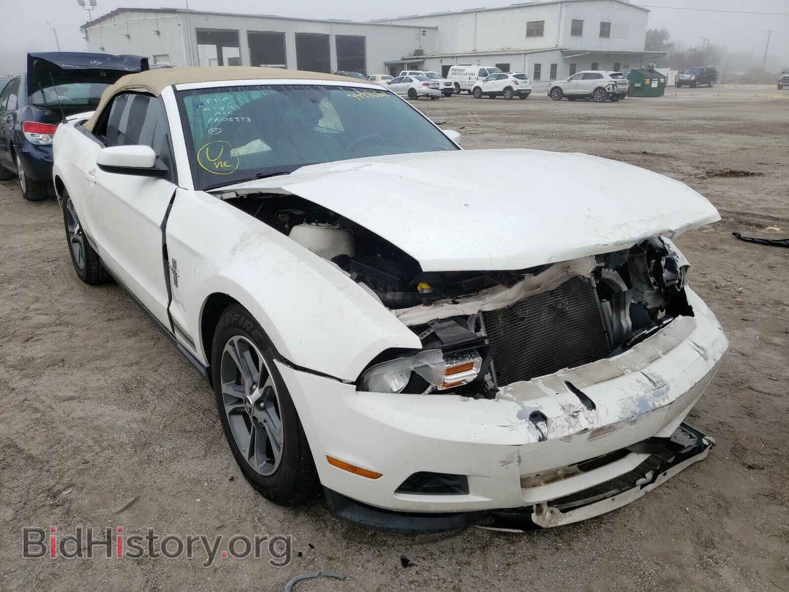 Фотография 1ZVBP8EM2C5212482 - FORD MUSTANG 2012