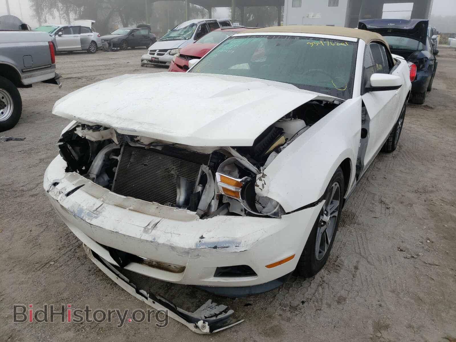 2012 FORD MUSTANG - VIN: 1ZVBP8EM2C5212482 - Фото 2