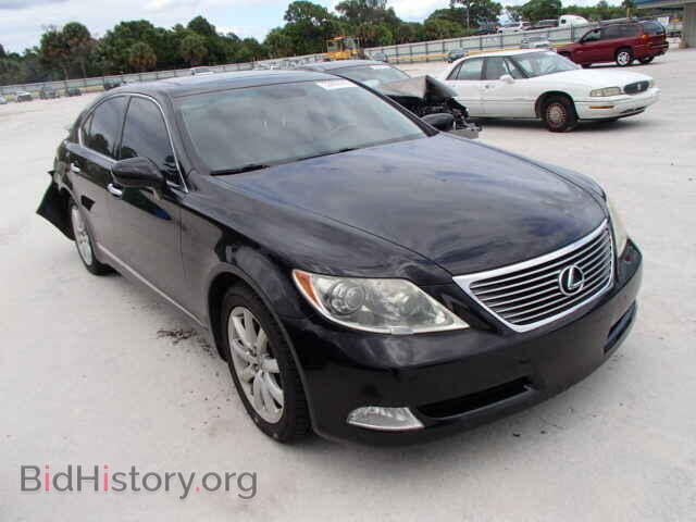 Фотография JTHBL46F095086377 - LEXUS LS460 2009