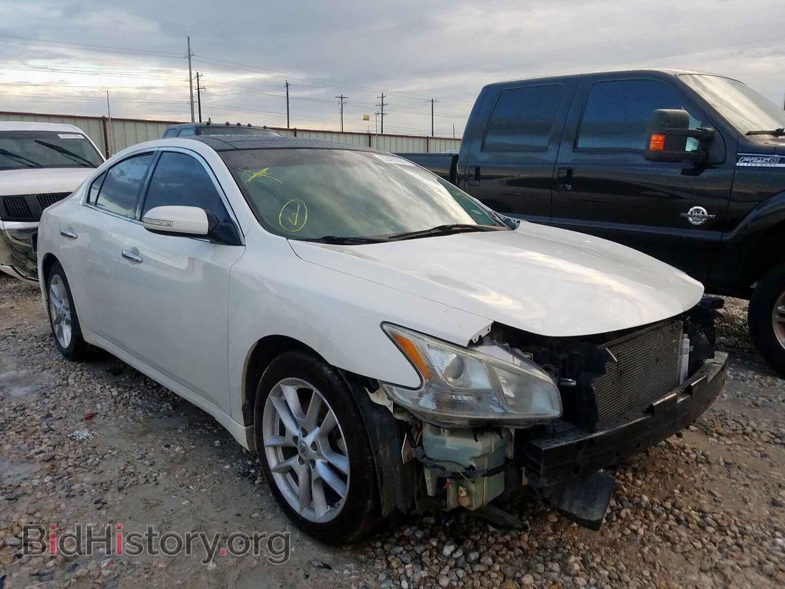 Фотография 1N4AA5AP9BC859024 - NISSAN MAXIMA 2011