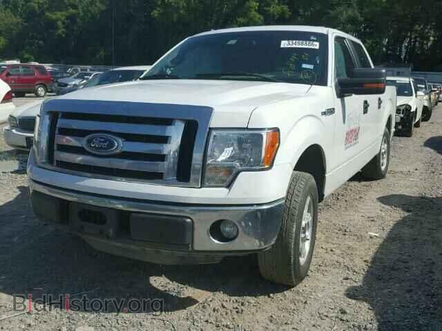 2012 FORD F150 - VIN: 1FTEW1CM3CFA42530 - Фото 2