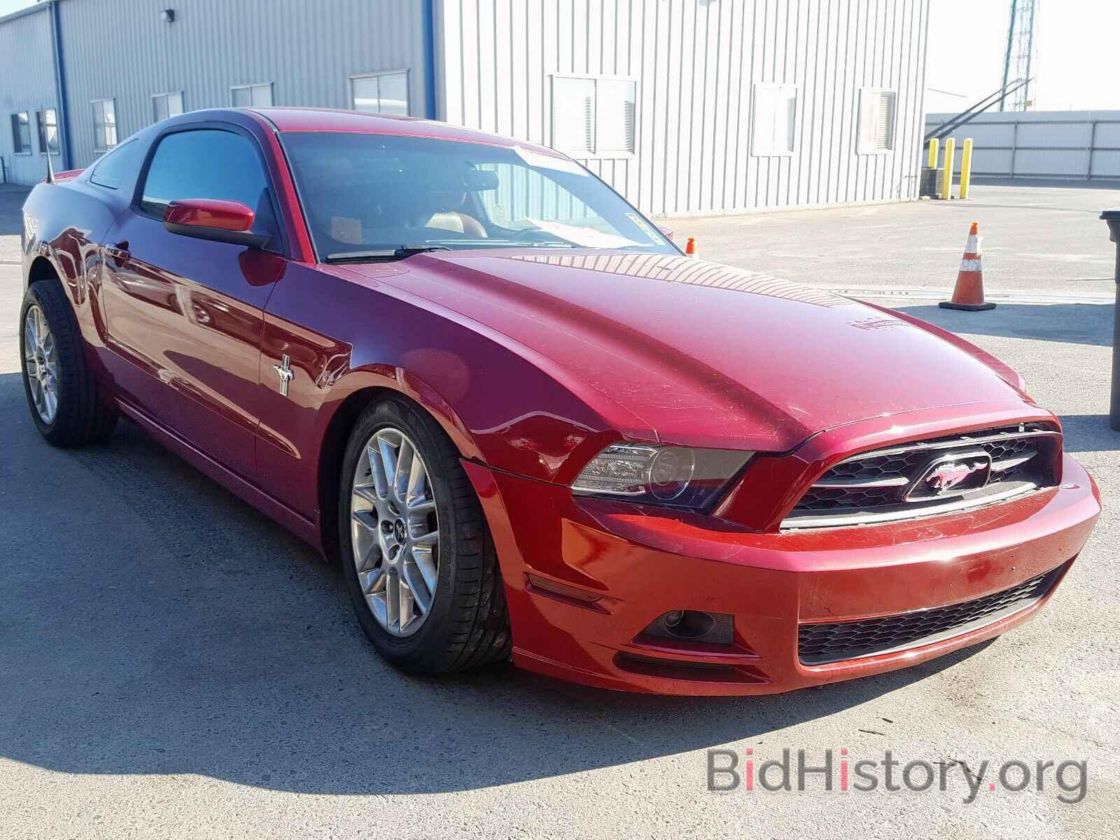 Photo 1ZVBP8AM5E5333676 - FORD MUSTANG 2014