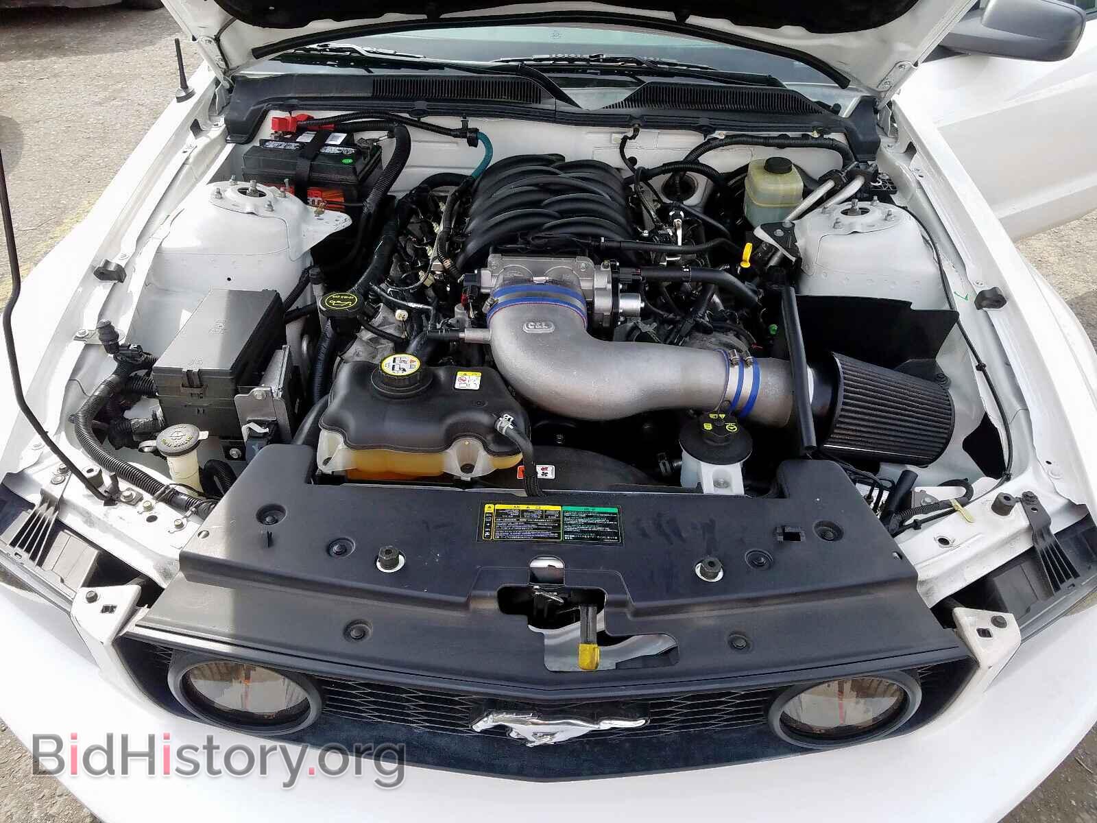 2005 FORD MUSTANG - VIN: 1ZVHT82H155142442 - Фото 7