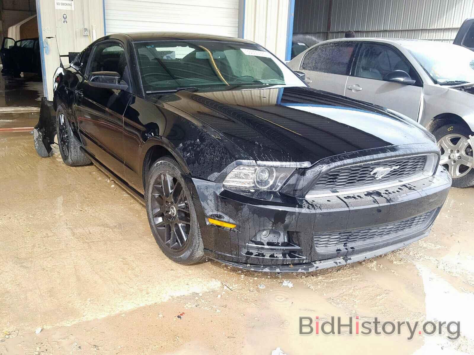 Photo 1ZVBP8AM4E5318781 - FORD MUSTANG 2014