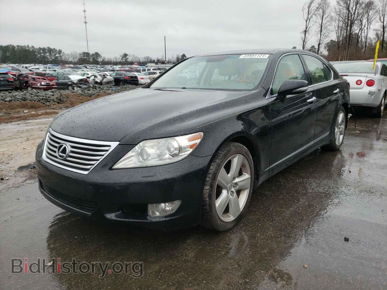 2010 LEXUS LS460 - VIN: JTHBL5EF9A5098085 - Фото 2