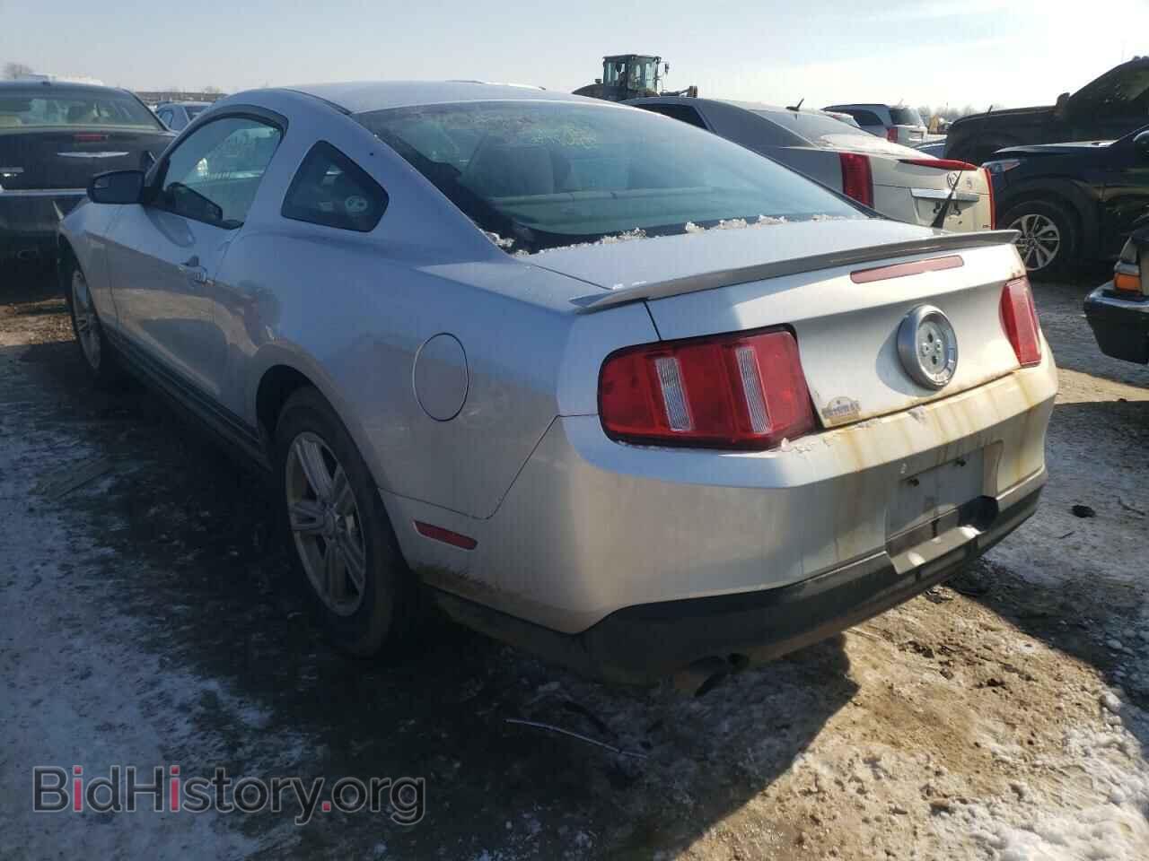 2011 FORD MUSTANG - VIN: 1ZVBP8AM2B5155799 - Фото 3