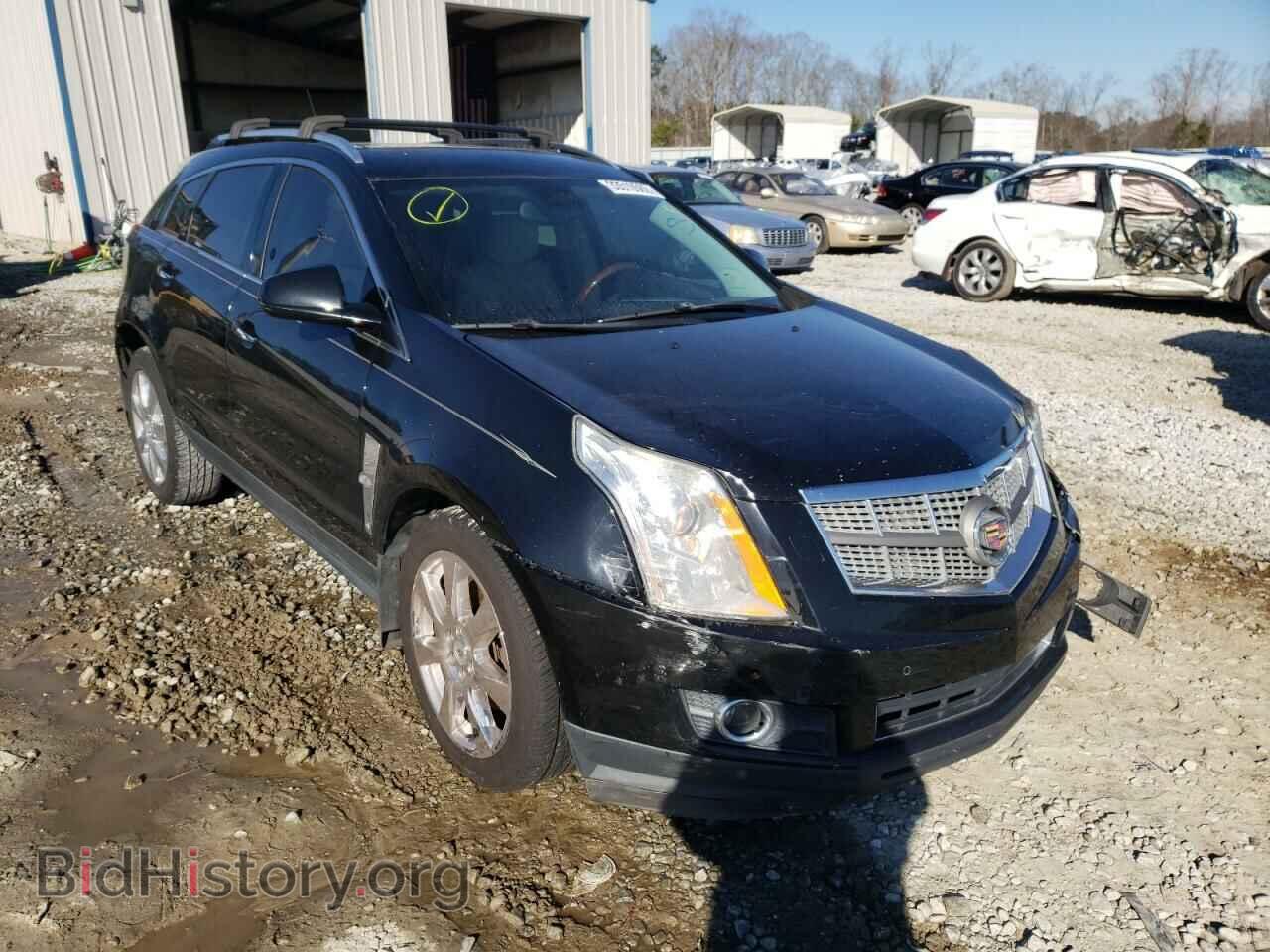 Photo 3GYFNBEY2BS659273 - CADILLAC SRX 2011