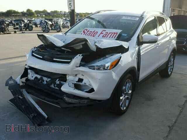 2014 FORD ESCAPE - VIN: 1FMCU0J97EUE25127 - Фото 2
