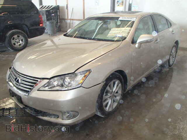 2011 LEXUS ES350 - VIN: JTHBK1EG1B2433718 - Фото 2