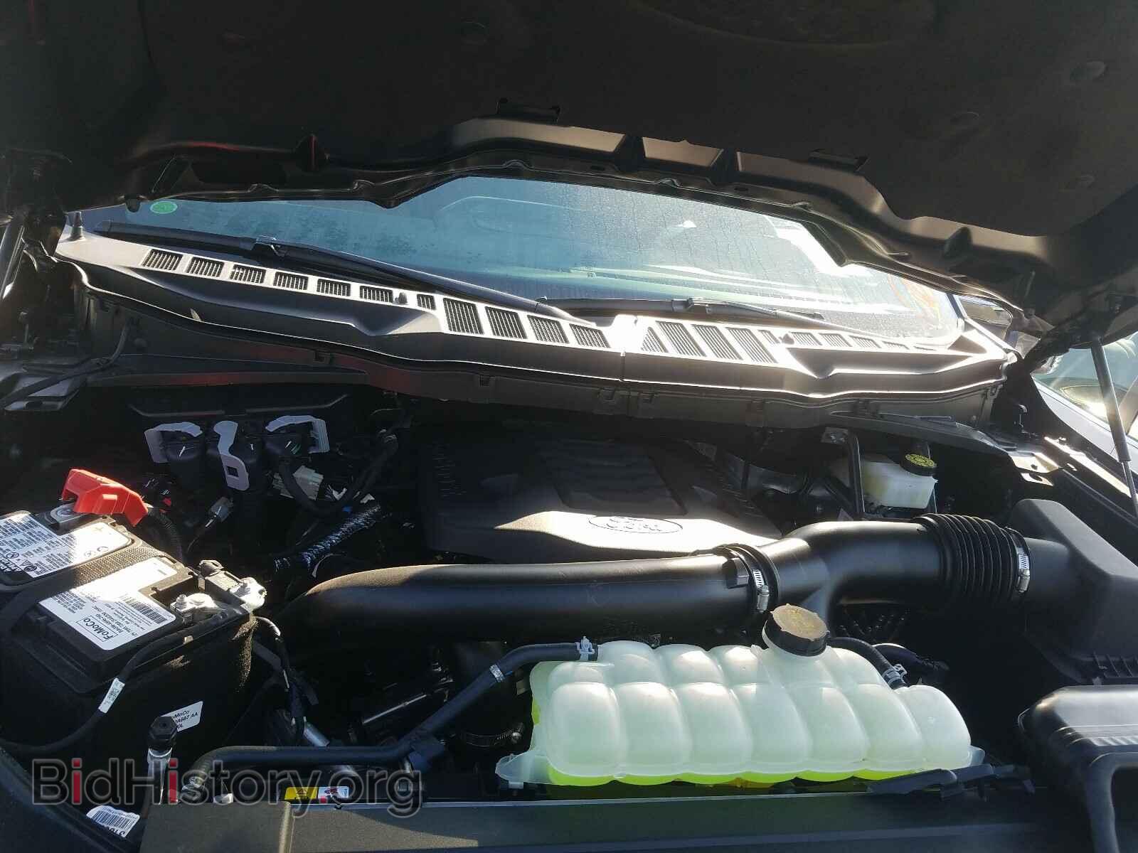 2021 FORD F150 - VIN: 1FTFW1E86MFA21094 - Фото 7