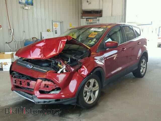 2013 FORD ESCAPE - VIN: 1FMCU0G97DUD40200 - Фото 2