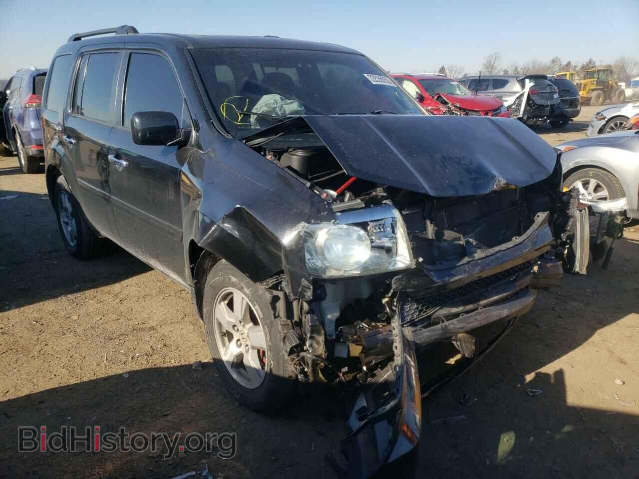 Фотография 5FNYF48539B013302 - HONDA PILOT 2009