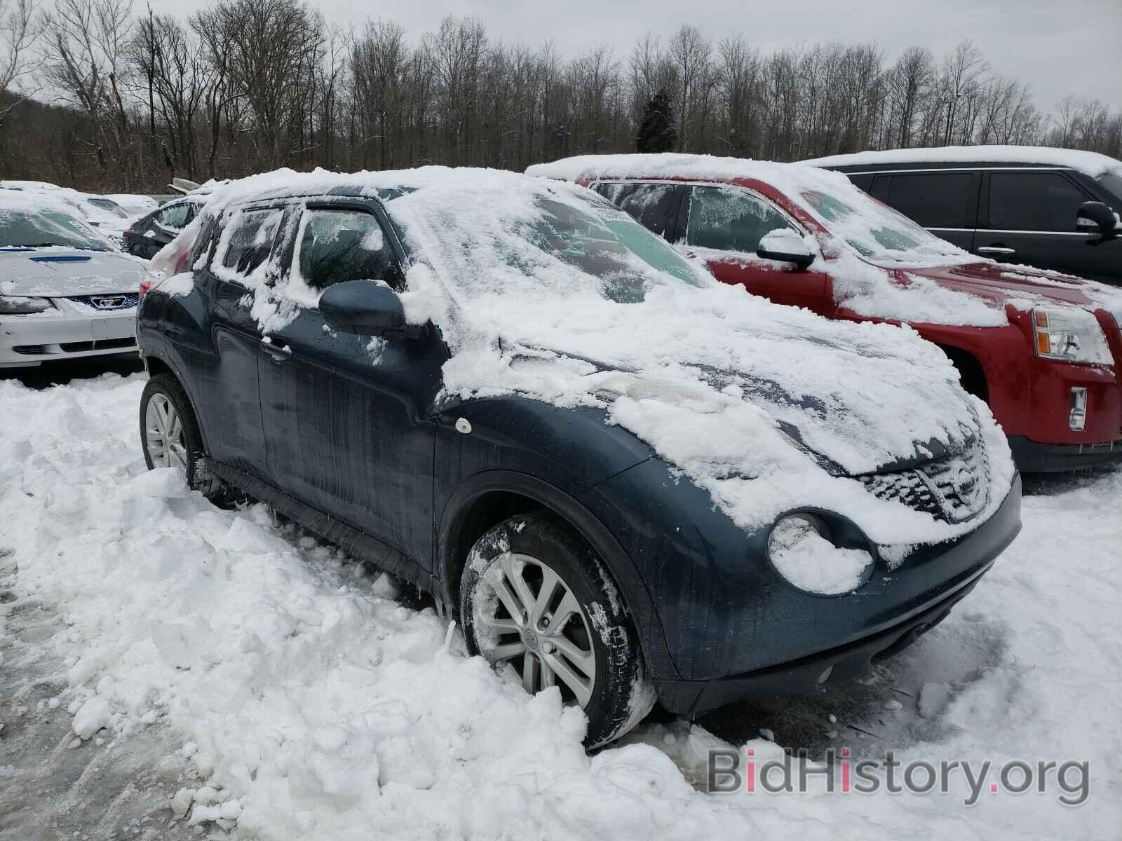 Фотография JN8AF5MV5ET360333 - NISSAN JUKE 2014