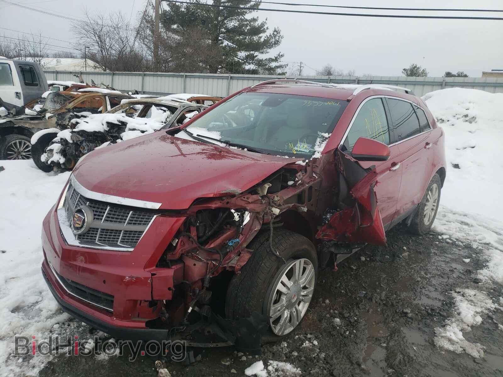 2011 CADILLAC SRX - VIN: 3GYFNAEY0BS542639 - Фото 2