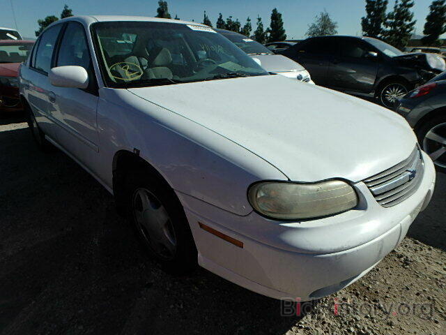 Photo 1G1NE52J8Y6167251 - CHEVROLET MALIBU 2000