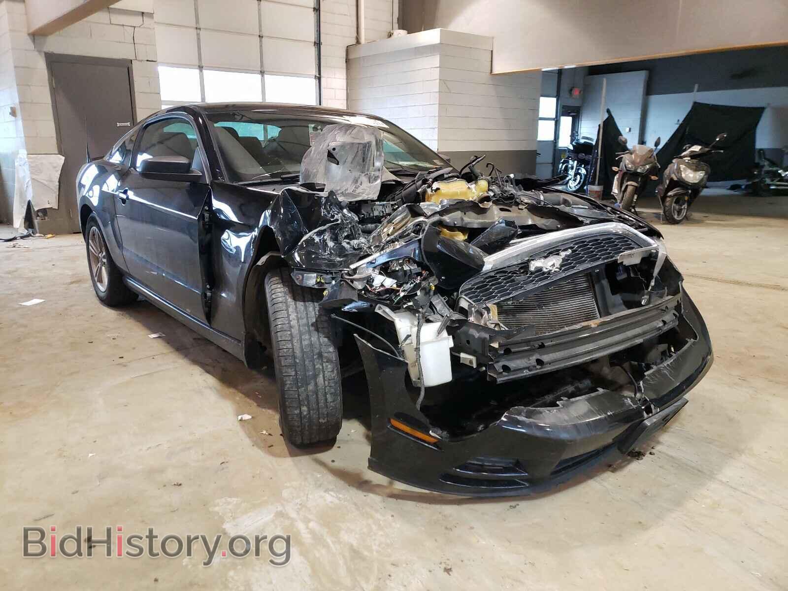 Фотография 1ZVBP8AM7D5244318 - FORD MUSTANG 2013