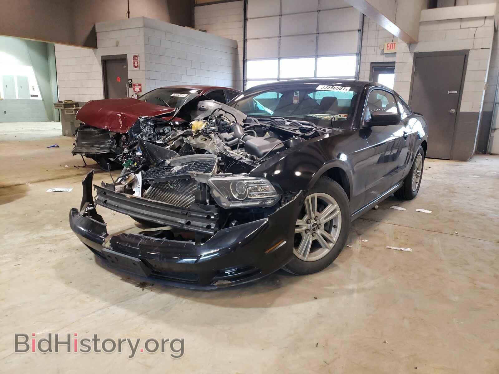 2013 FORD MUSTANG - VIN: 1ZVBP8AM7D5244318 - Фото 2
