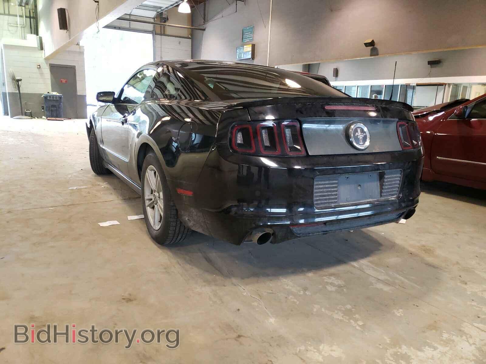 2013 FORD MUSTANG - VIN: 1ZVBP8AM7D5244318 - Фото 3