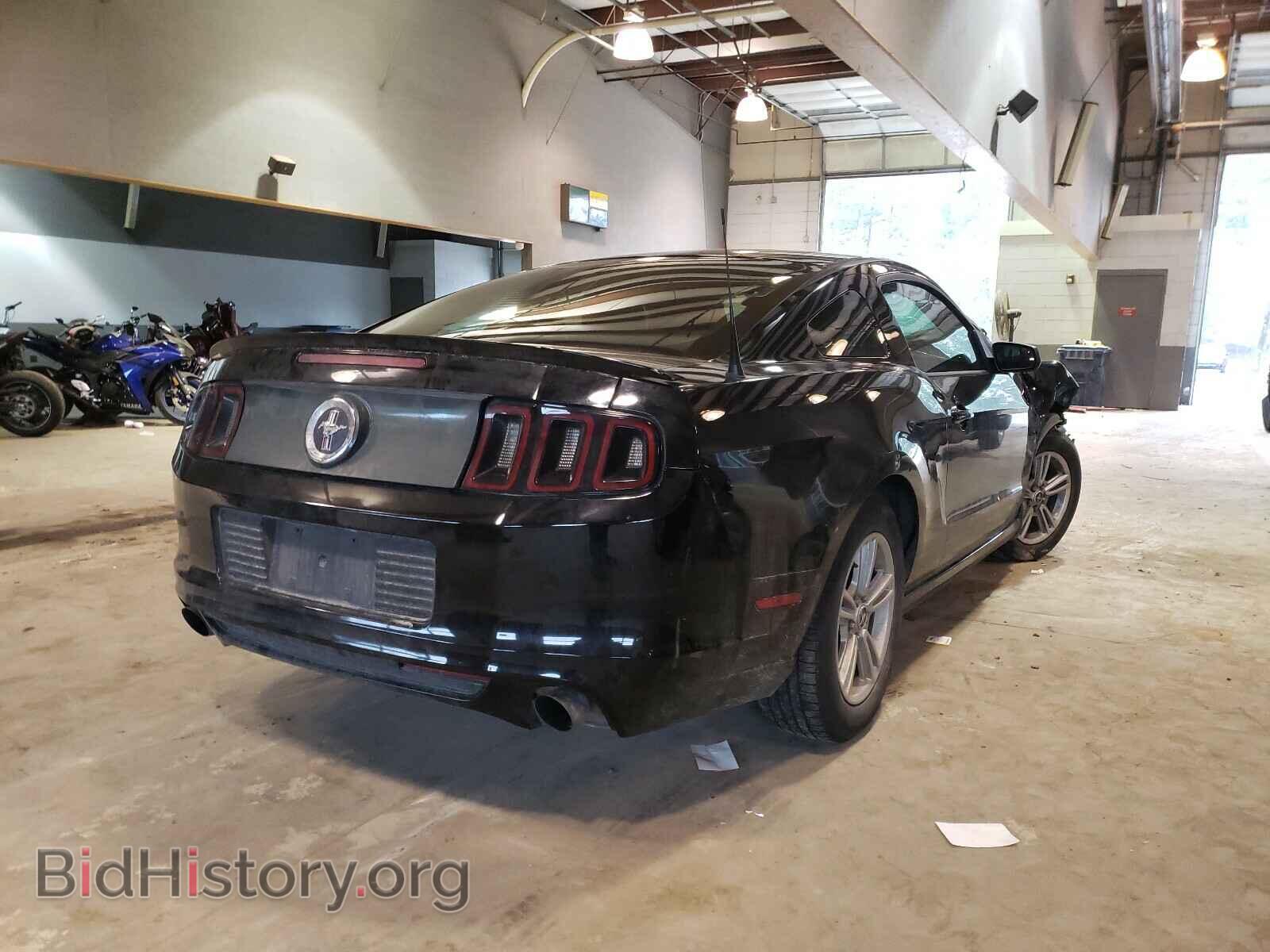 2013 FORD MUSTANG - VIN: 1ZVBP8AM7D5244318 - Фото 4