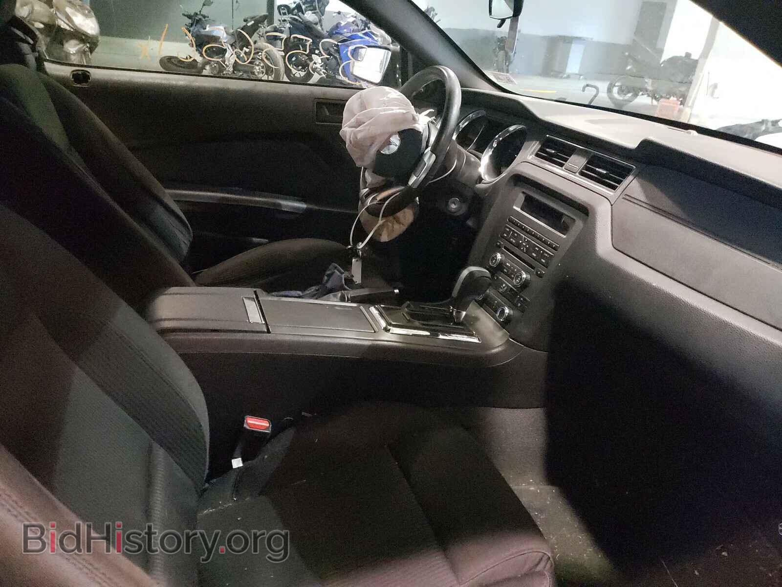 2013 FORD MUSTANG - VIN: 1ZVBP8AM7D5244318 - Фото 5