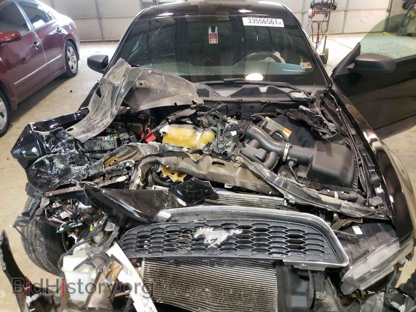 2013 FORD MUSTANG - VIN: 1ZVBP8AM7D5244318 - Фото 7