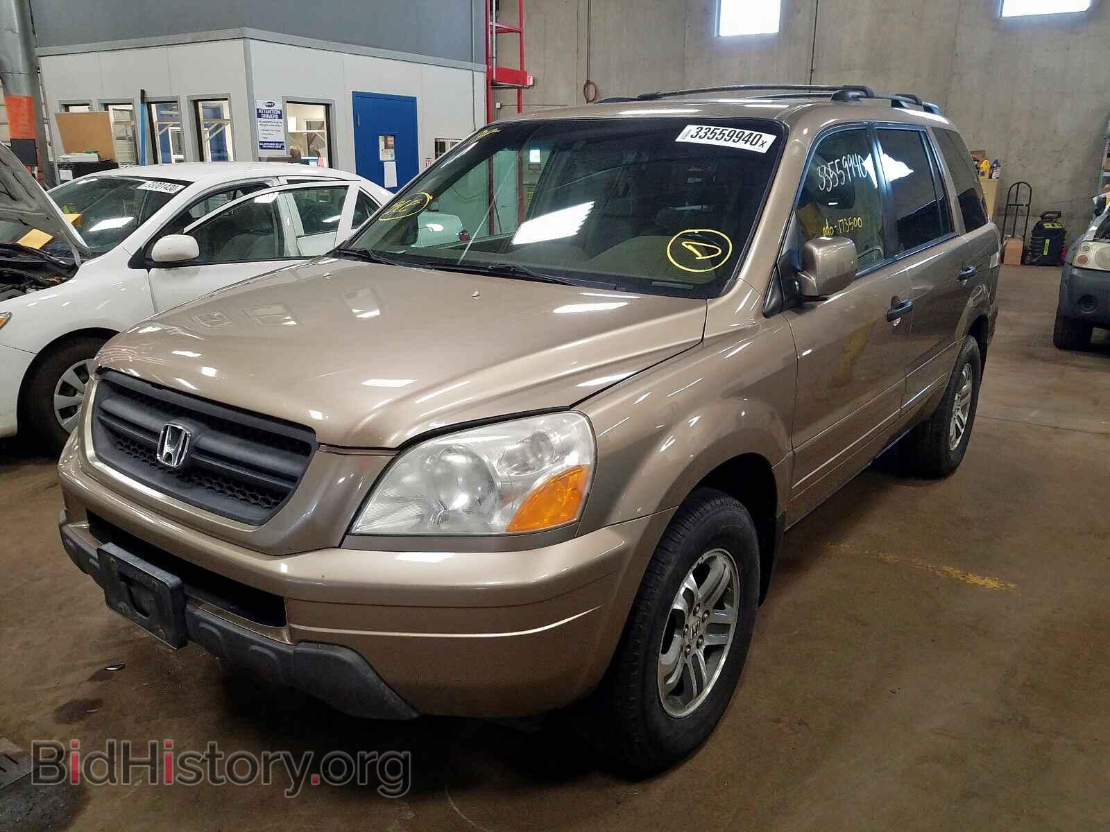 2005 HONDA PILOT - VIN: 5FNYF18565B010130 - Фото 2