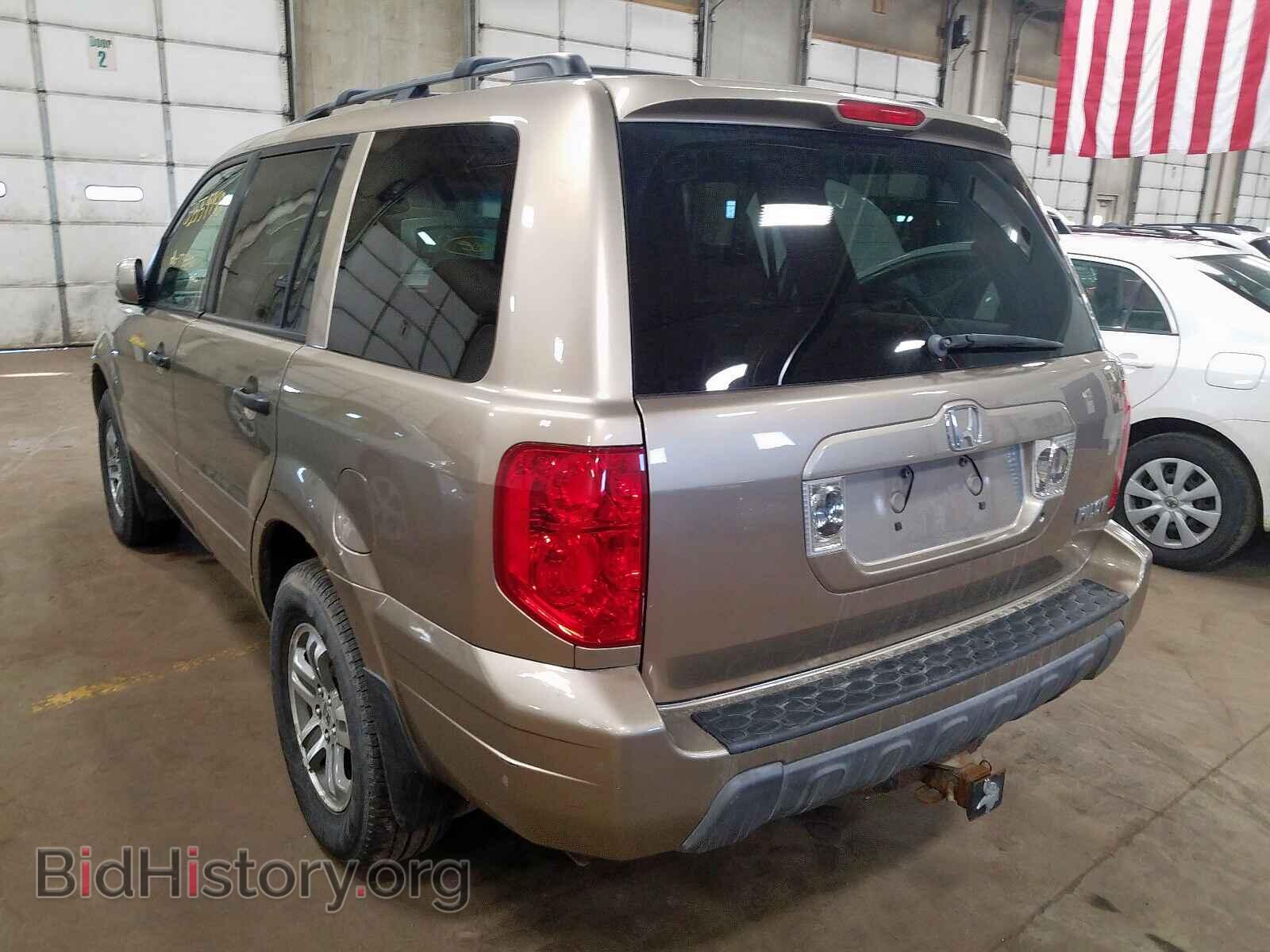 2005 HONDA PILOT - VIN: 5FNYF18565B010130 - Фото 3