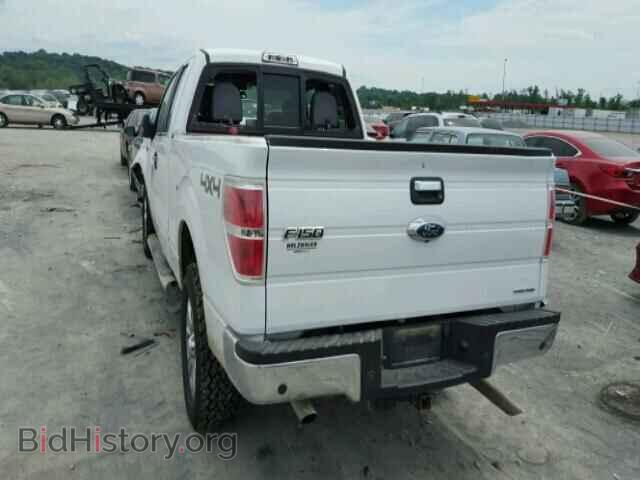 2013 FORD F150 - VIN: 1FTFX1EF4DFA60939 - Фото 3