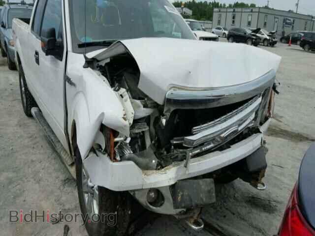 2013 FORD F150 - VIN: 1FTFX1EF4DFA60939 - Фото 9