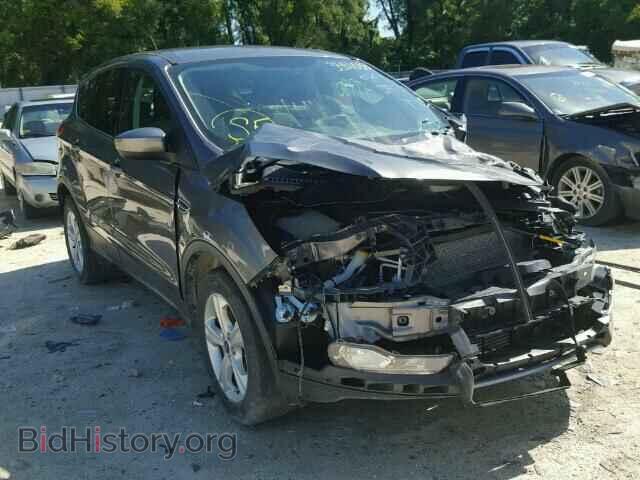 Фотография 1FMCU9G98DUD94271 - FORD ESCAPE 2013