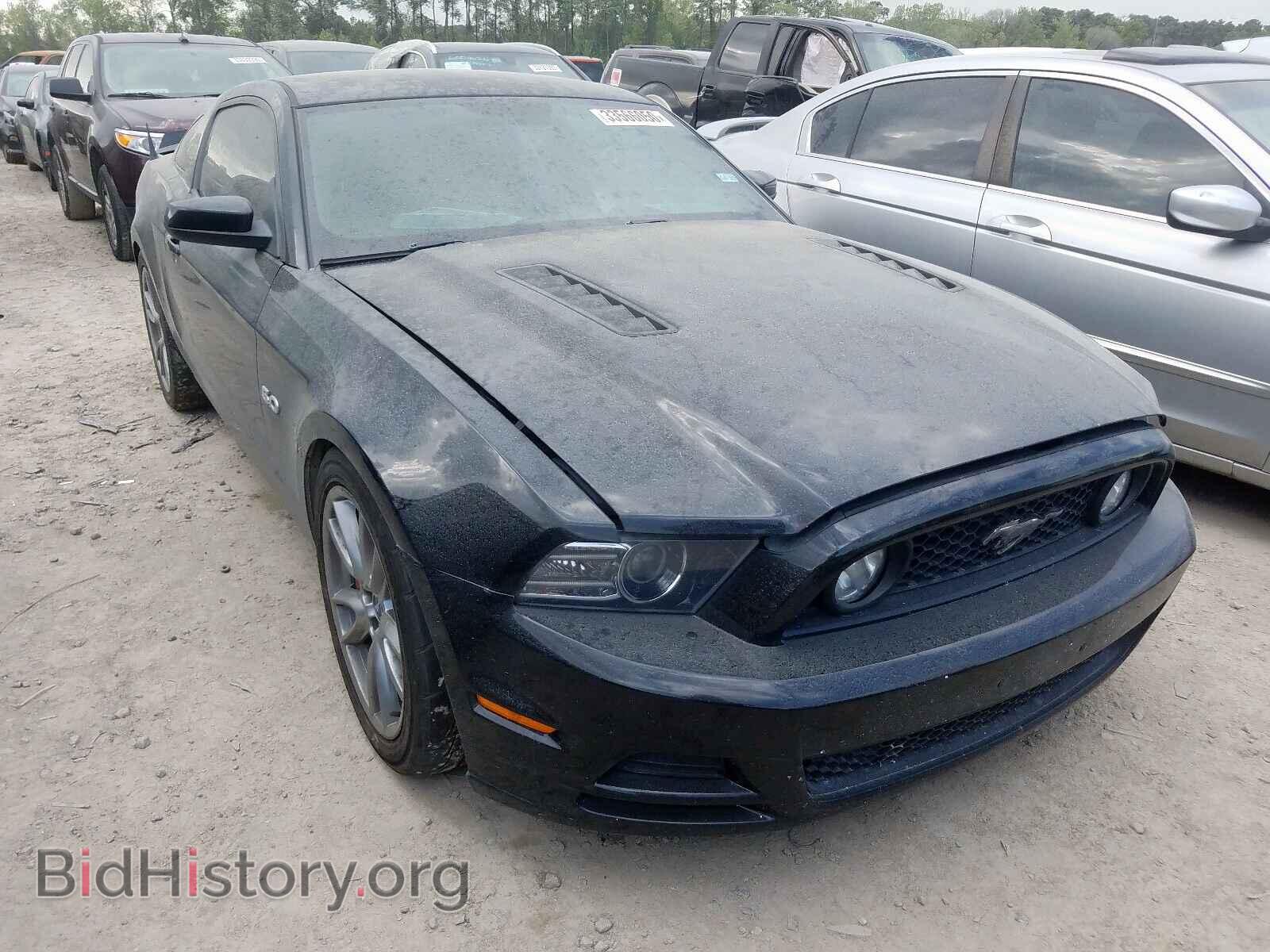Photo 1ZVBP8CF5D5224003 - FORD MUSTANG 2013