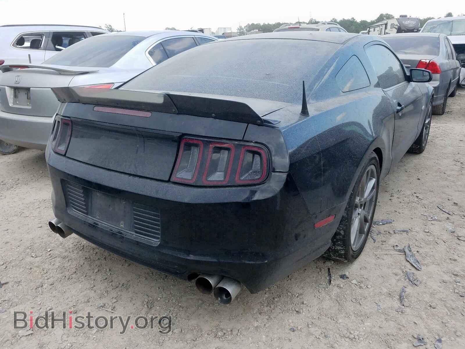 2013 FORD MUSTANG - VIN: 1ZVBP8CF5D5224003 - Фото 4