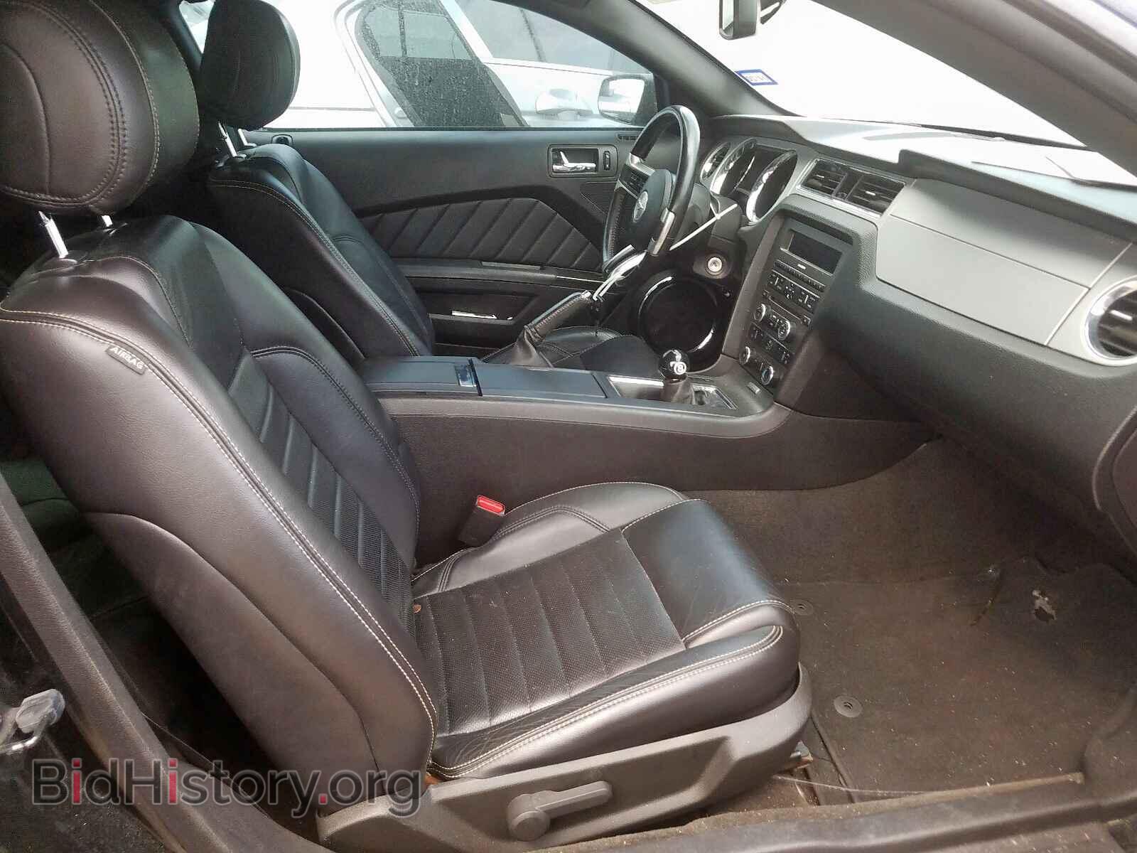 2013 FORD MUSTANG - VIN: 1ZVBP8CF5D5224003 - Фото 5