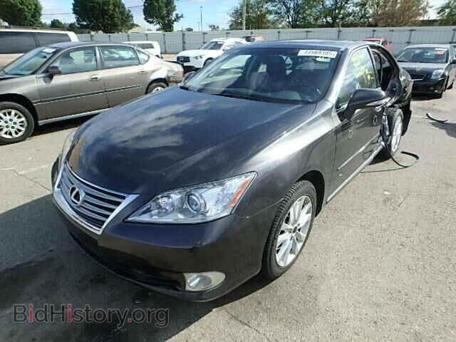 2010 LEXUS ES350 - VIN: JTHBK1EG8A2390610 - Фото 2