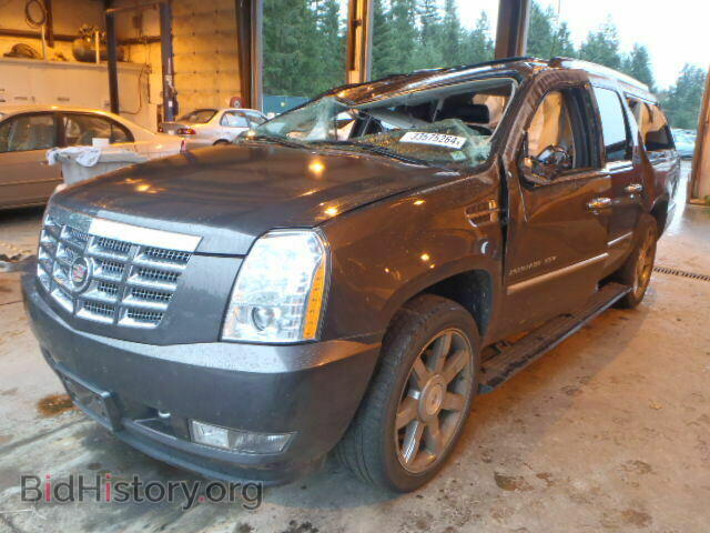 2010 CADILLAC ESCALADE - VIN: 1GYUKJEF0AR118636 - Фото 2