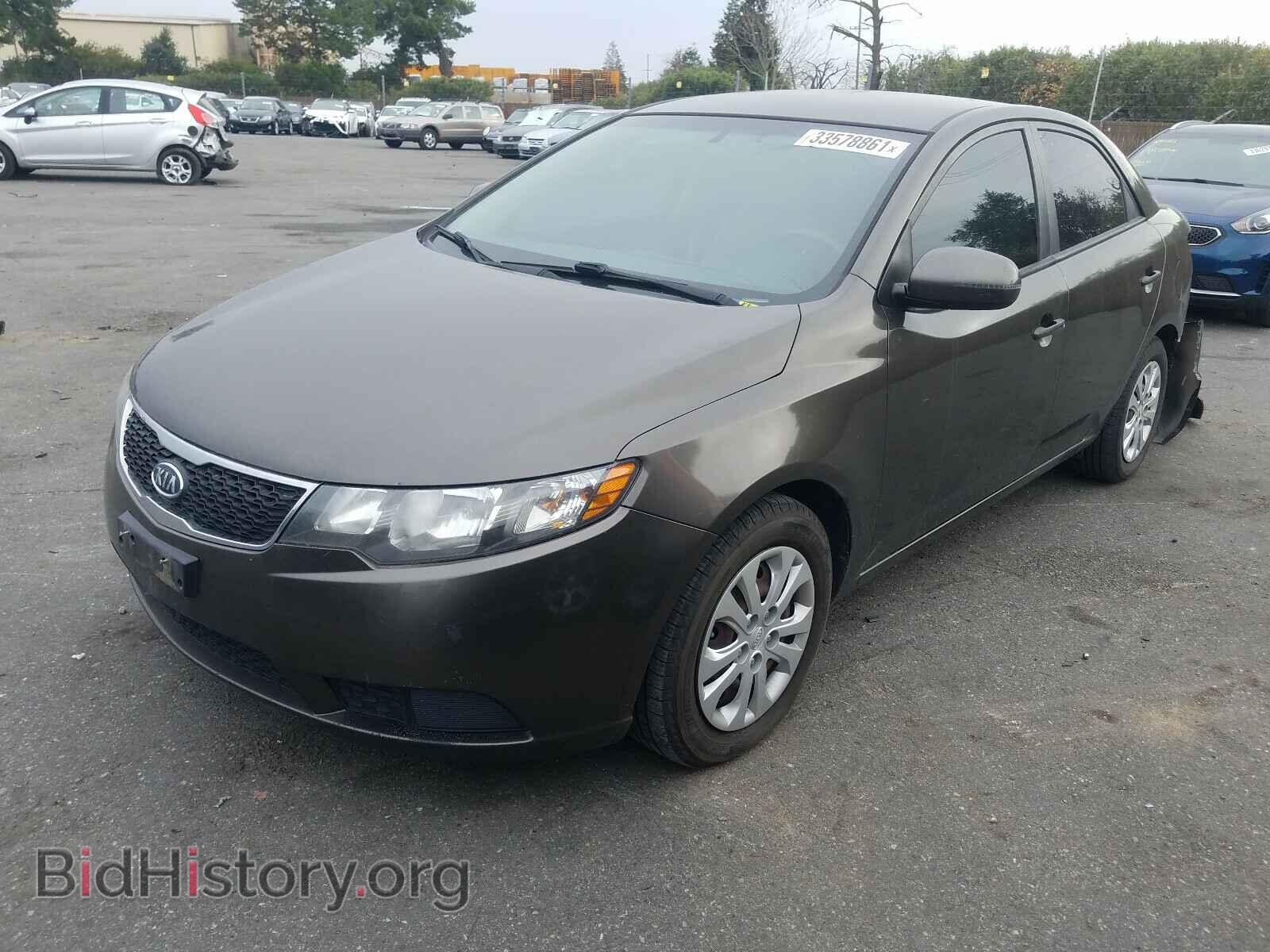 2011 KIA FORTE - VIN: KNAFU4A23B5377155 - Фото 2