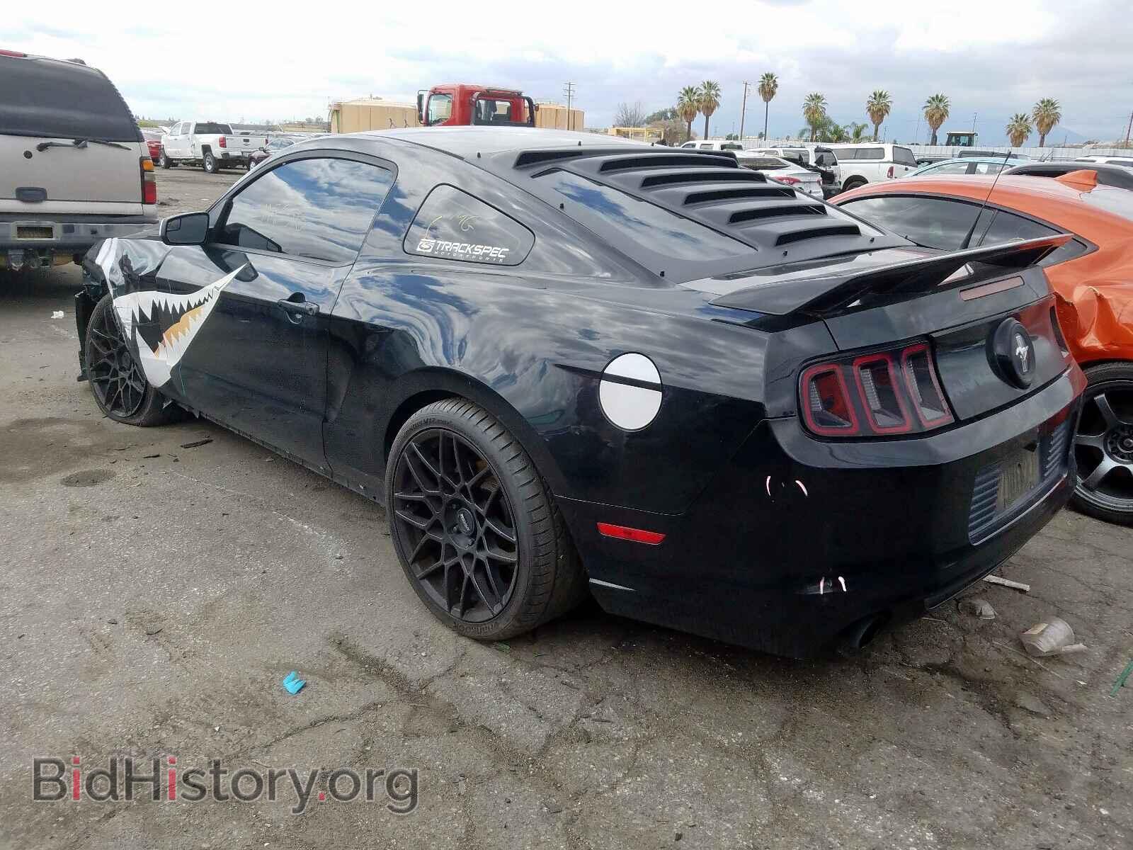 2013 FORD MUSTANG - VIN: 1ZVBP8AM5D5232491 - Фото 3
