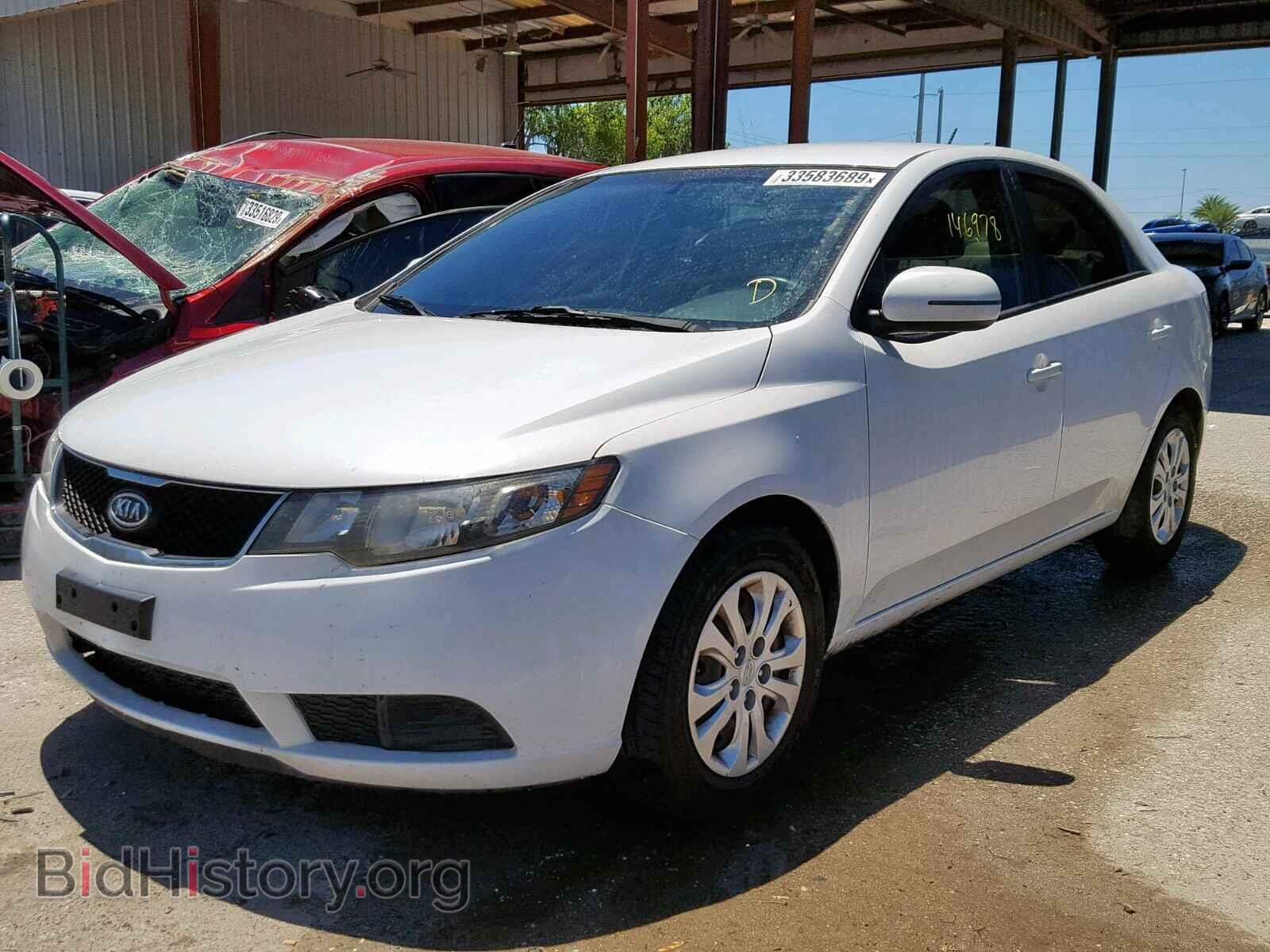2013 KIA FORTE EX - VIN: KNAFU4A29D5724832 - Фото 2