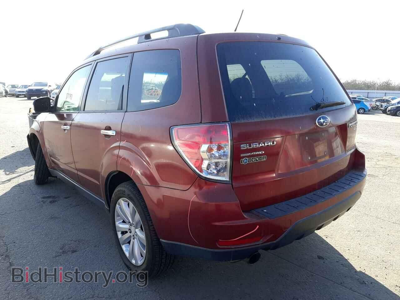 2011 SUBARU FORESTER - VIN: JF2SHADC9BH704117 - Фото 3